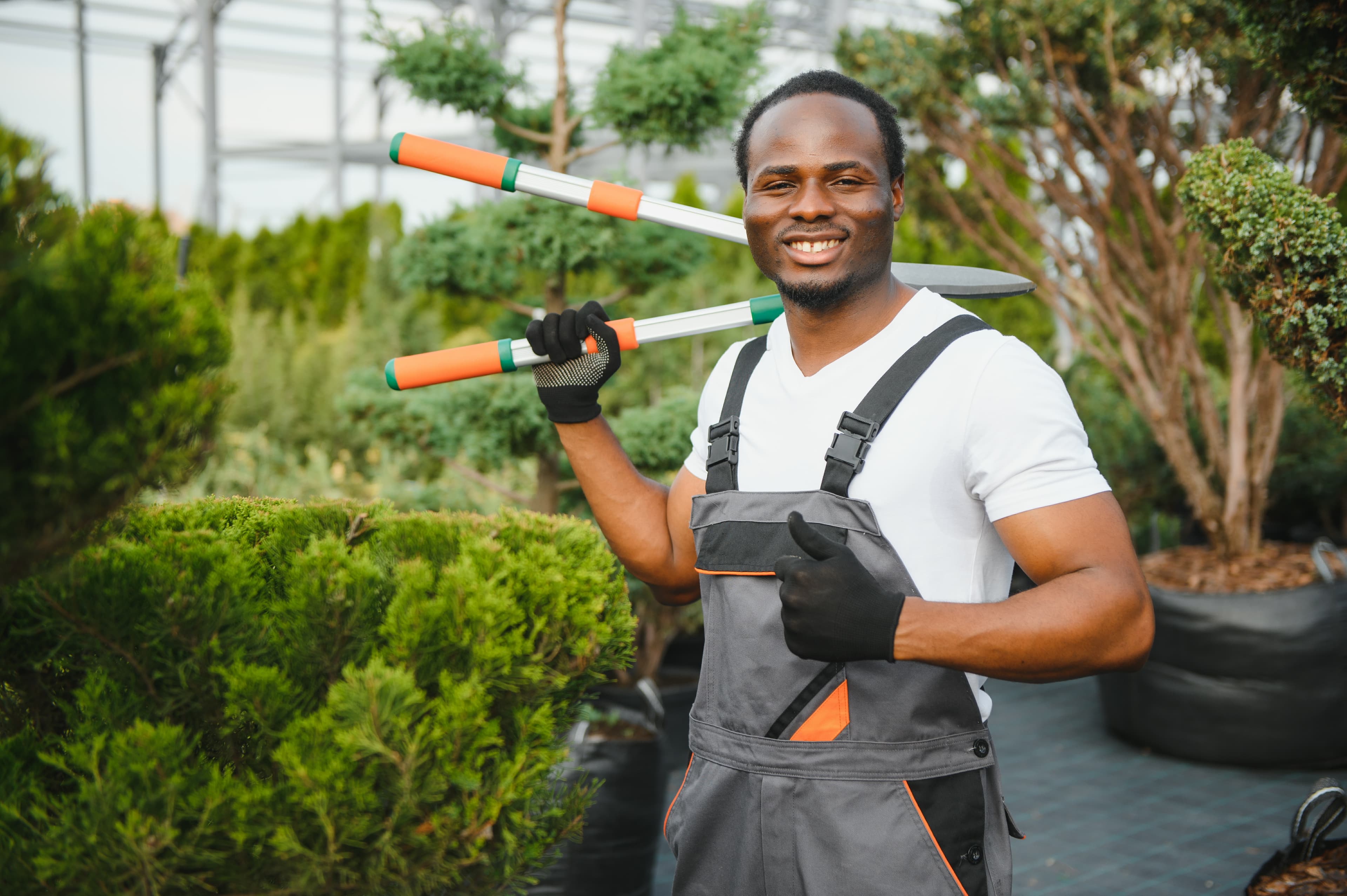 Tree care